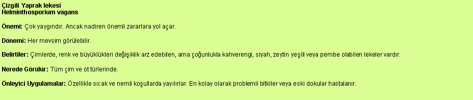 Metin Kutusu: izgili Yaprak lekesi
Helminthosporium vagans nemi: ok yaygndr. Ancak nadiren nemli zararlara yol aar. Dnemi: Her mevsim grlebilir. Belirtiler: imlerde, renk ve byklkleri deiiklik arz edebilen, ama ounlukla kahverengi, siyah, zeytin yeili veya pembe olabilen lekeler vardr. Nerede Grlr: Tm im ve ot trlerinde. nleyici Uygulamalar: zellikle scak ve nemli koullarda yaylrlar. En kolay olarak problemli bitkiler veya eski dokular hastalanr. 
