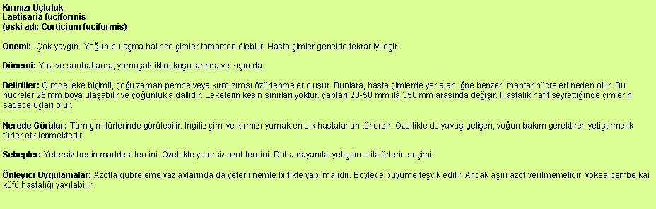Metin Kutusu: Krmz Ululuk
Laetisaria fuciformis
(eski ad: Corticium fuciformis) nemi:  ok yaygn. Youn bulama halinde imler tamamen lebilir. Hasta imler genelde tekrar iyileir. Dnemi: Yaz ve sonbaharda, yumuak iklim koullarnda ve kn da. Belirtiler: imde leke biimli, ou zaman pembe veya krmzms zrlenmeler oluur. Bunlara, hasta imlerde yer alan ine benzeri mantar hcreleri neden olur. Bu hcreler 25 mm boya ulaabilir ve ounlukla dalldr. Lekelerin kesin snrlar yoktur. aplar 20-50 mm il 350 mm arasnda deiir. Hastalk hafif seyrettiinde imlerin sadece ular lr. Nerede Grlr: Tm im trlerinde grlebilir. ngiliz imi ve krmz yumak en sk hastalanan trlerdir. zellikle de yava gelien, youn bakm gerektiren yetitirmelik trler etkilenmektedir. Sebepler: Yetersiz besin maddesi temini. zellikle yetersiz azot temini. Daha dayankl yetitirmelik trlerin seimi. nleyici Uygulamalar: Azotla gbreleme yaz aylarnda da yeterli nemle birlikte yaplmaldr. Bylece byme tevik edilir. Ancak ar azot verilmemelidir, yoksa pembe kar kf hastal yaylabilir.
