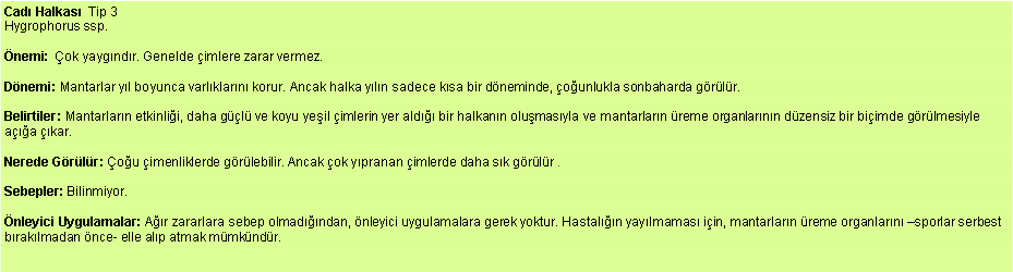 Metin Kutusu: Cad Halkas  Tip 3
Hygrophorus ssp. nemi:  ok yaygndr. Genelde imlere zarar vermez. Dnemi: Mantarlar yl boyunca varlklarn korur. Ancak halka yln sadece ksa bir dneminde, ounlukla sonbaharda grlr. Belirtiler: Mantarlarn etkinlii, daha gl ve koyu yeil imlerin yer ald bir halkann olumasyla ve mantarlarn reme organlarnn dzensiz bir biimde grlmesiyle aa kar.  Nerede Grlr: ou imenliklerde grlebilir. Ancak ok ypranan imlerde daha sk grlr . Sebepler: Bilinmiyor.nleyici Uygulamalar: Ar zararlara sebep olmadndan, nleyici uygulamalara gerek yoktur. Hastaln yaylmamas iin, mantarlarn reme organlarn sporlar serbest braklmadan nce- elle alp atmak mmkndr. 