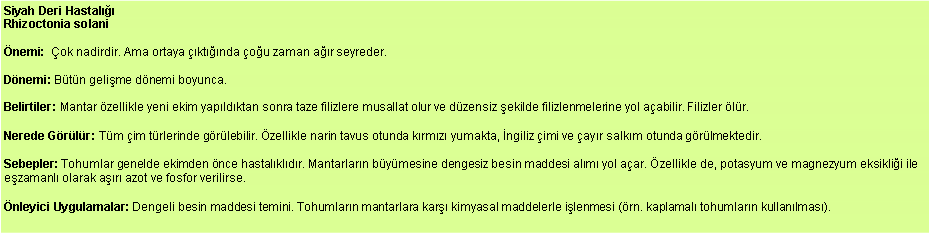 Metin Kutusu: Siyah Deri Hastal
Rhizoctonia solani nemi:  ok nadirdir. Ama ortaya ktnda ou zaman ar seyreder. Dnemi: Btn gelime dnemi boyunca. Belirtiler: Mantar zellikle yeni ekim yapldktan sonra taze filizlere musallat olur ve dzensiz ekilde filizlenmelerine yol aabilir. Filizler lr. Nerede Grlr: Tm im trlerinde grlebilir. zellikle narin tavus otunda krmz yumakta, ngiliz imi ve ayr salkm otunda grlmektedir. Sebepler: Tohumlar genelde ekimden nce hastalkldr. Mantarlarn bymesine dengesiz besin maddesi alm yol aar. zellikle de, potasyum ve magnezyum eksiklii ile ezamanl olarak ar azot ve fosfor verilirse. nleyici Uygulamalar: Dengeli besin maddesi temini. Tohumlarn mantarlara kar kimyasal maddelerle ilenmesi (rn. kaplamal tohumlarn kullanlmas).