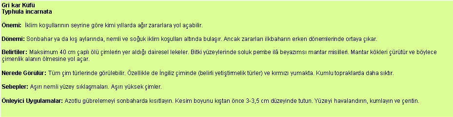 Metin Kutusu: Gri kar Kf
Typhula incarnata nemi:  klim koullarnn seyrine gre kimi yllarda ar zararlara yol aabilir. Dnemi: Sonbahar ya da k aylarnda, nemli ve souk iklim koullar altnda bular. Ancak zararlar ilkbaharn erken dnemlerinde ortaya kar. Belirtiler: Maksimum 40 cm apl l imlerin yer ald dairesel lekeler. Bitki yzeylerinde soluk pembe il beyazms mantar misilleri. Mantar kkleri rtr ve bylece imenlik alann lmesine yol aar. Nerede Grlr: Tm im trlerinde grlebilir. zellikle de ngiliz iminde (belirli yetitirmelik trler) ve krmz yumakta. Kumlu topraklarda daha sktr. Sebepler: Ar nemli yzey sklamalar. Ar yksek imler. nleyici Uygulamalar: Azotlu gbrelemeyi sonbaharda kstlayn. Kesim boyunu ktan nce 3-3,5 cm dzeyinde tutun. Yzeyi havalandrn, kumlayn ve entin.